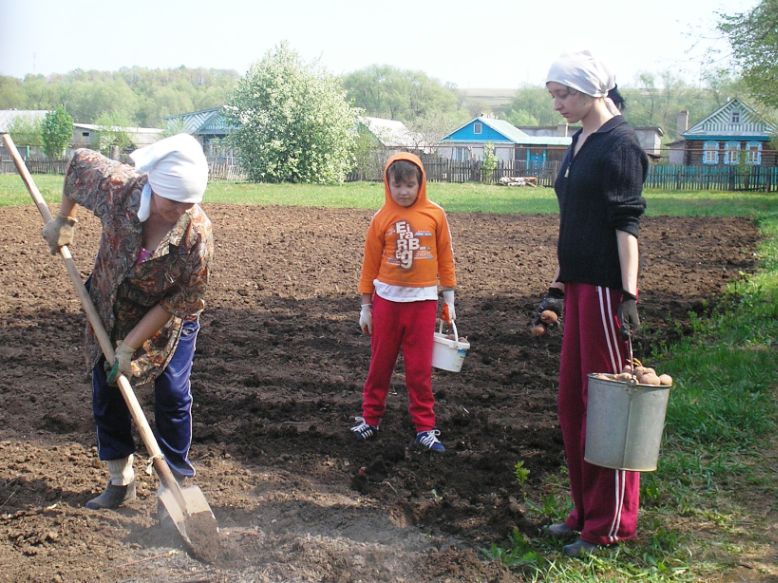 Вы воруете мы сажаем 305